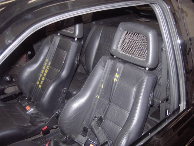 photo56.jpg